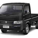 Real Black
